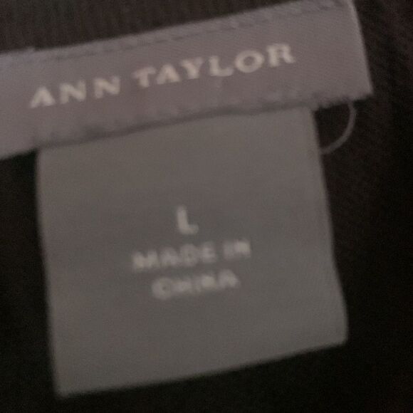 Ann Taylor size large - Picture 4 of 5